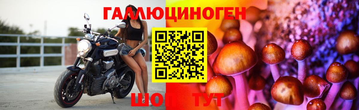 Галлюциногенные грибы GOLDEN TEACHER Горячий Ключ